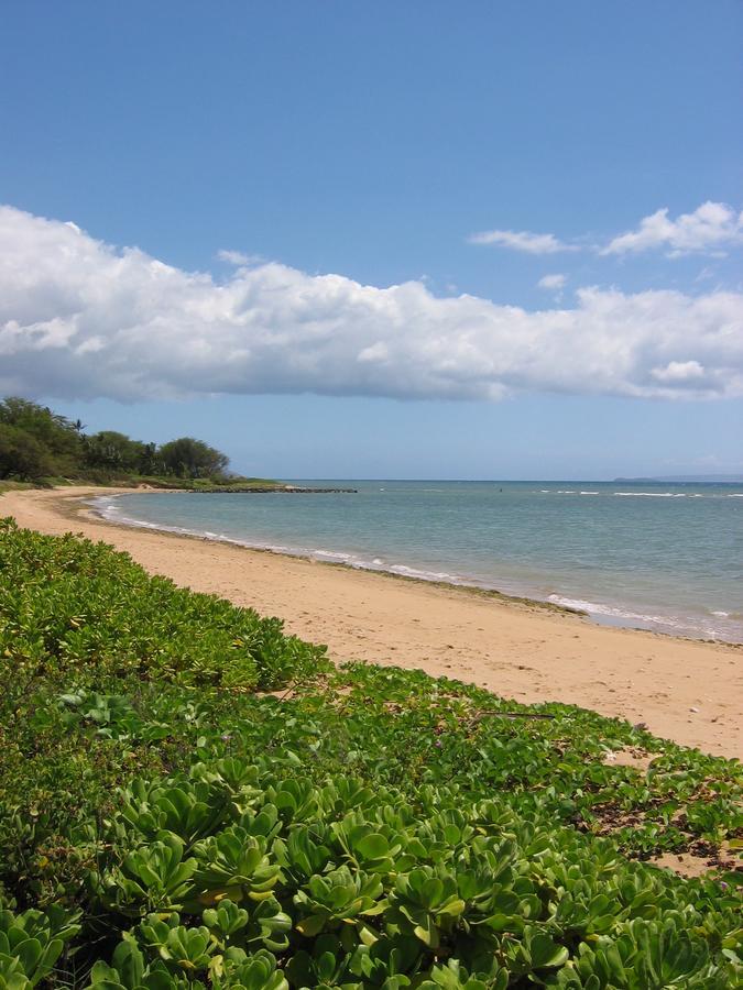 Hale Kai O'Kihei 118 Exterior foto